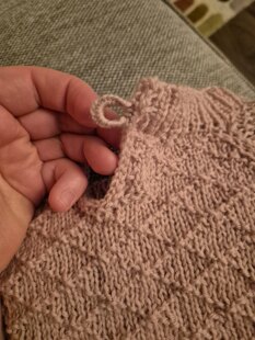 Jumper for Ana