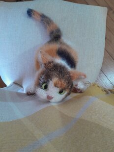 Calico Cat