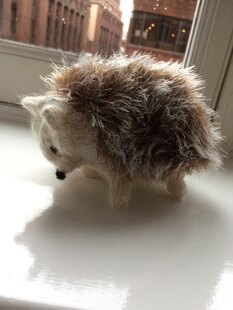 Hedgehog