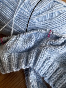 Dachshund Cardigan