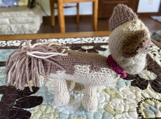 Little dog