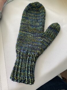audra's mittens