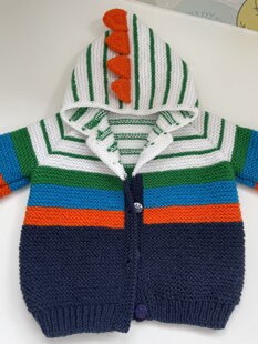 Baby Dino Jacket