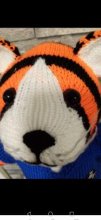 Football tiger