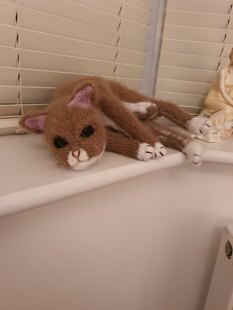 George the Cat