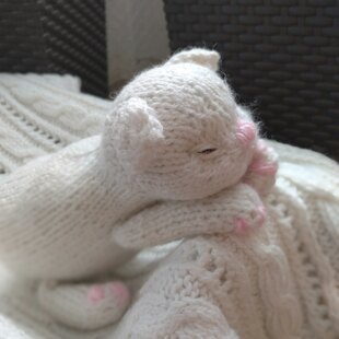 Knitting pattern cat and little kittens