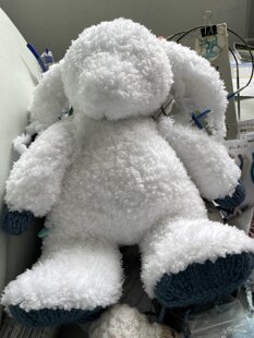 Large Lamb