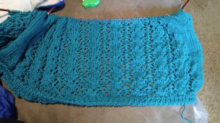 Cece sweater for my sister