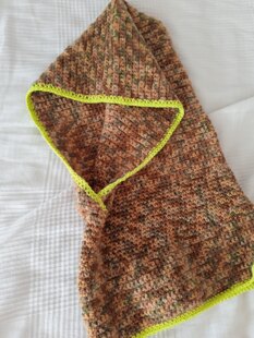 cowl with a hood