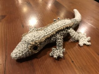 Gayle the Gecko