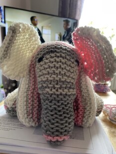 Elephant family