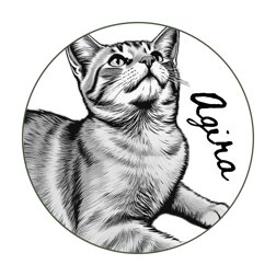 Agira Co