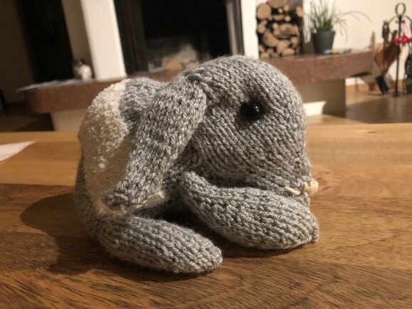 bunny