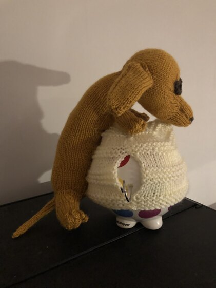 Dachshund tea cosy