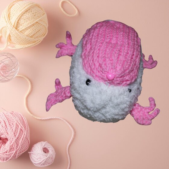 Pink Fairy Armadillo