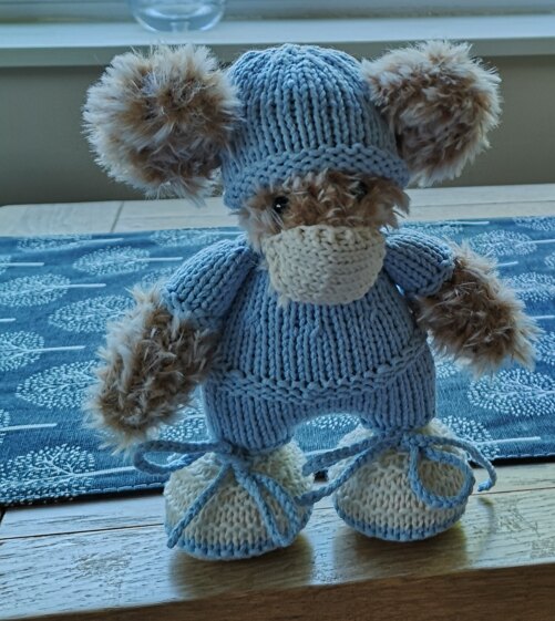 Little hero bear