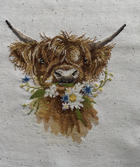 Daisy Coo