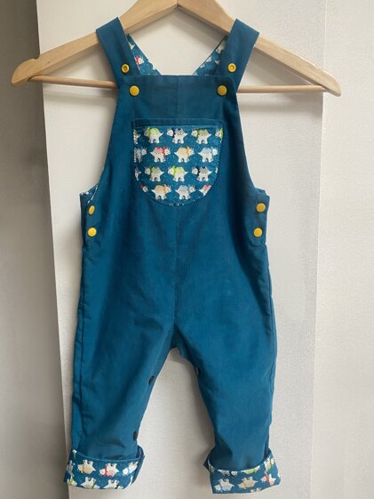 Dinosaur Dungarees