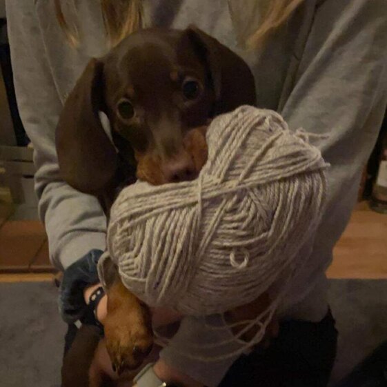 Ellie F