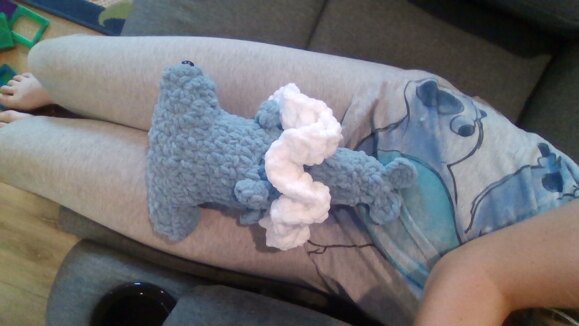 Cute Hammer Head Shark