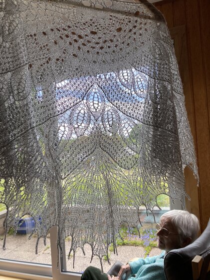Wild swan shawl