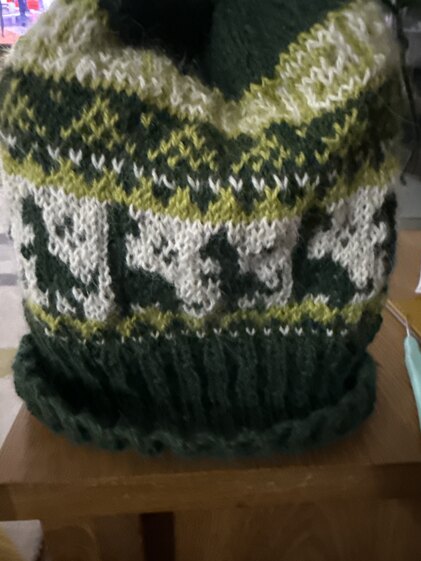 Dinosaur beanie