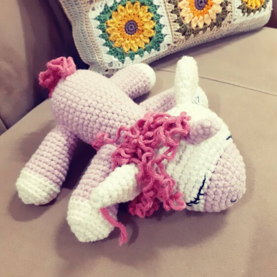 Donated Unicorn
