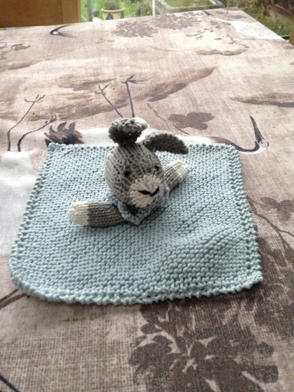 Rabbit blanket