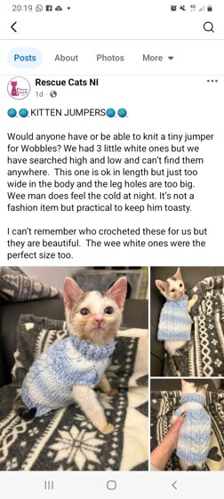 2 Kitten coats for cat charity
