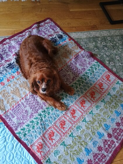 Martin Storey's Heirloom Blanket