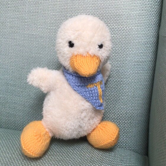 Duckling