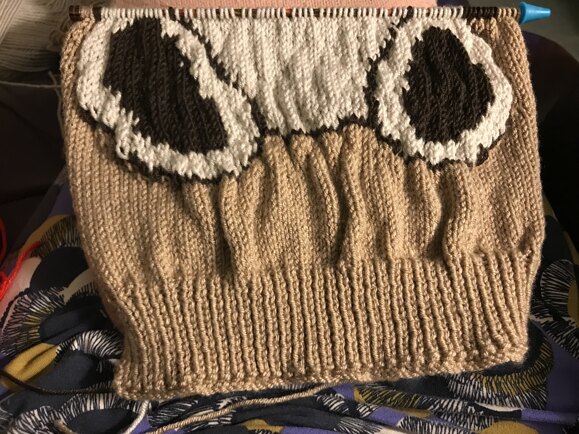 Teddy Jumper