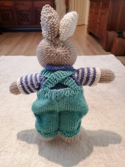 Blue Boy Bunny