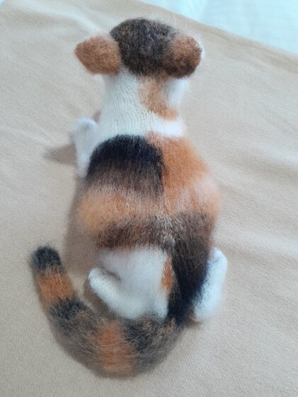Calico Cat