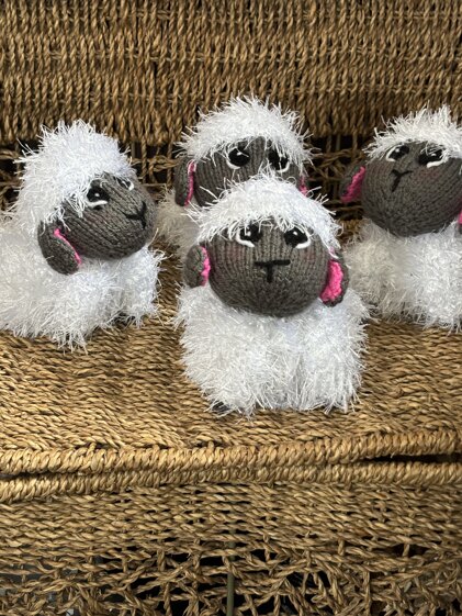 Barnaby sheep