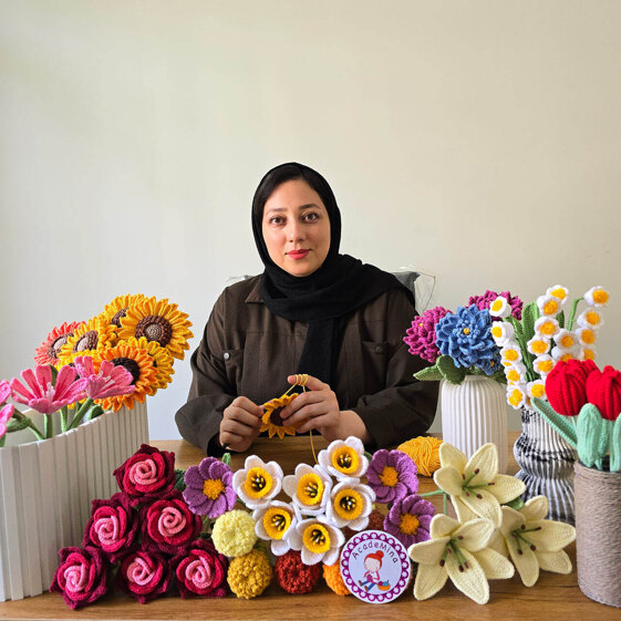 Mina Mohammadian | Academina