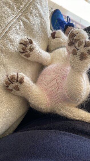 New Born Puppy