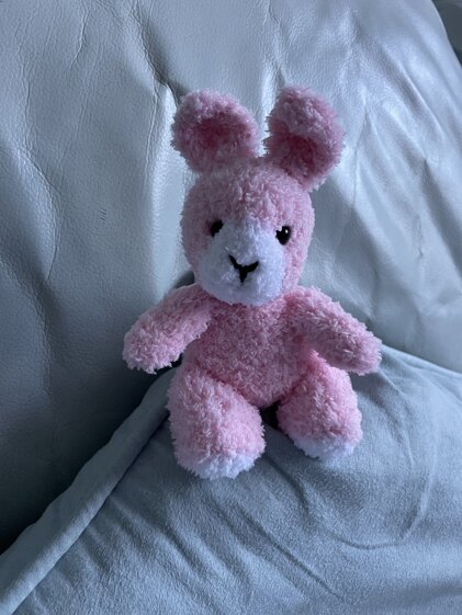 Bunny for Baby in America - delivered safe and sound 💖