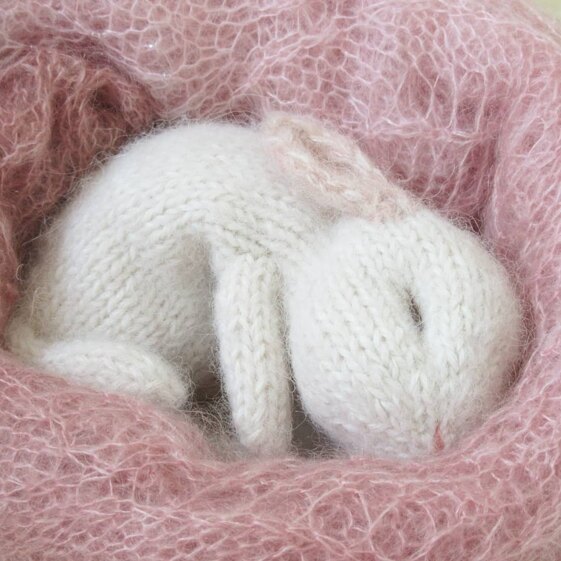 Sweet dreaming baby rabbit