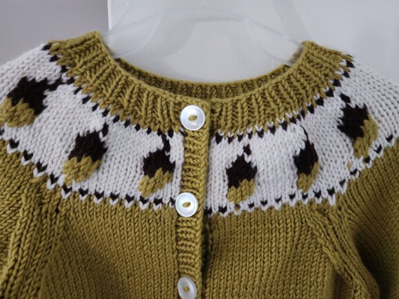 Cardigan with Acorn Yoke