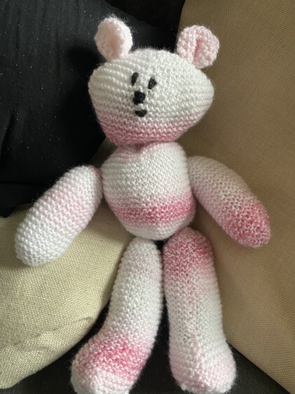 Teddy bear girl