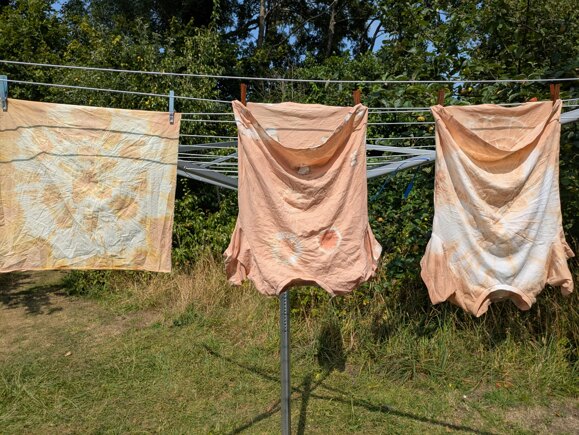 Vegetable dyeing