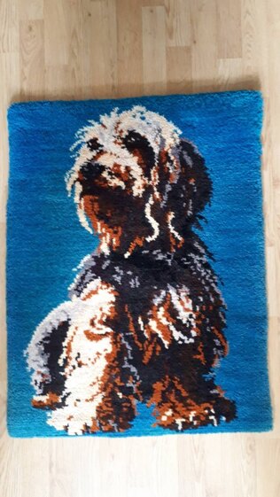 My first rug, Ministeck31885