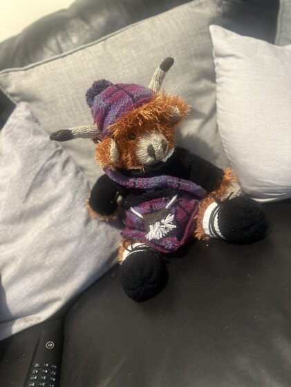 Knitables highland cow