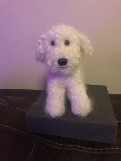 Bánín the Bichon Puppy