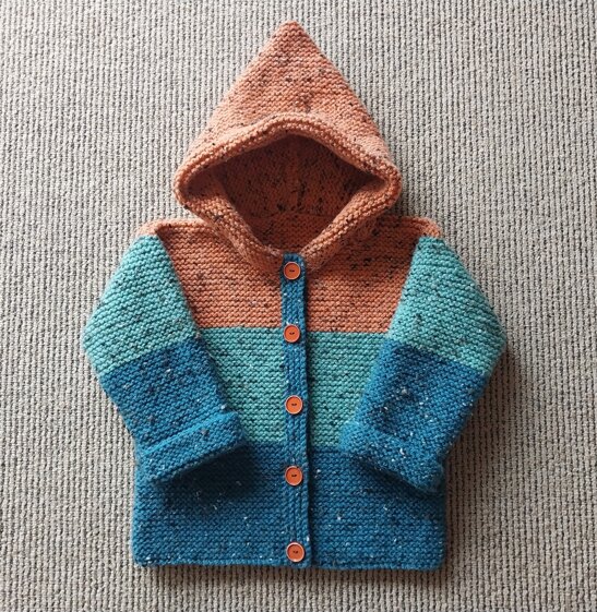 Childs Hoodie 1214