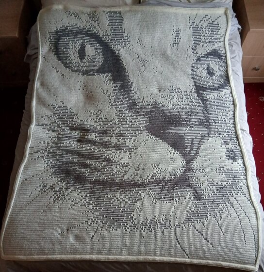 Magnifi-Cat