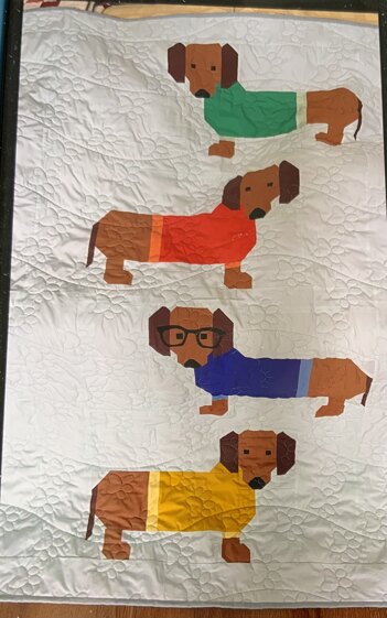 Dogs in sweaters