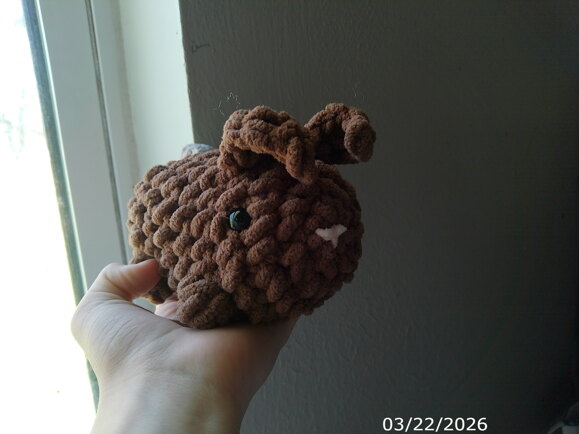 Rilla the Rabbit
