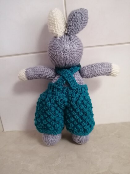 Boy Bunny in dungaree's!